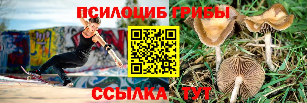 Качканар  Галлюциногенные грибы мицелий  Галлюциногенные грибы GOLDEN TEACHER  Вход с VPN 